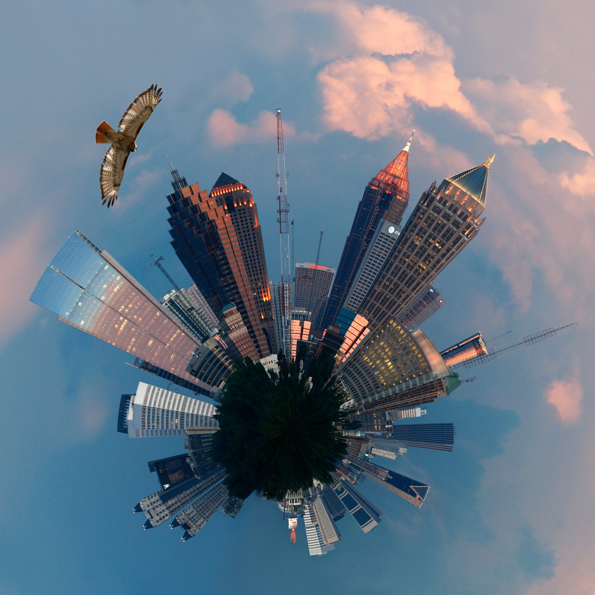 a fish-eye view of downtown Atlanta with a hawk soaring in the upper left